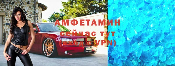прущие грибы Осташков