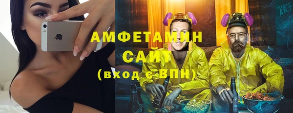 прущие грибы Осташков