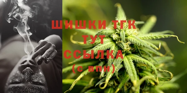 прущие грибы Осташков