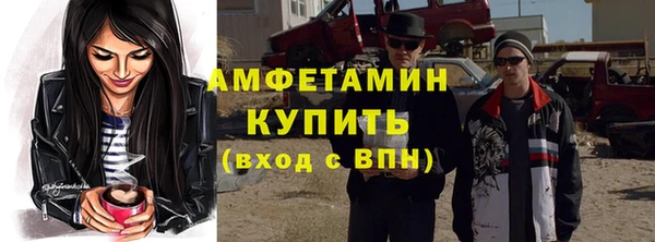 индика Пестово